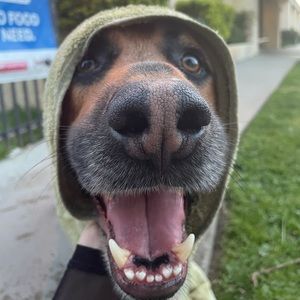 Meet your Posher, Brian